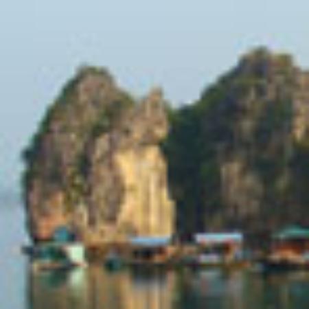 Moe's Southwest Grill